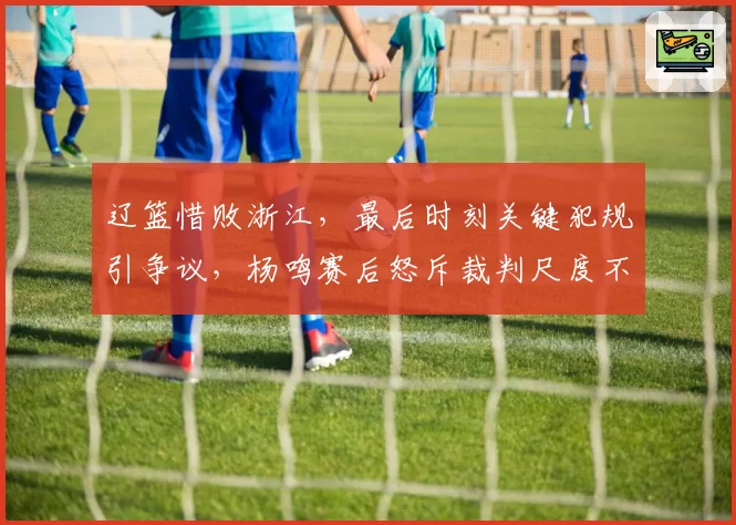 辽篮惜败浙江，最后时刻关键犯规引争议，杨鸣赛后怒斥裁判尺度不一