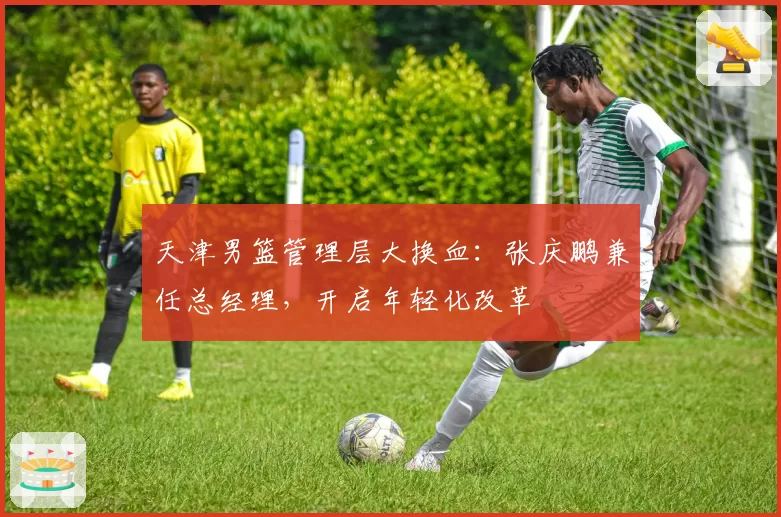 天津男篮管理层大换血：张庆鹏兼任总经理，开启年轻化改革