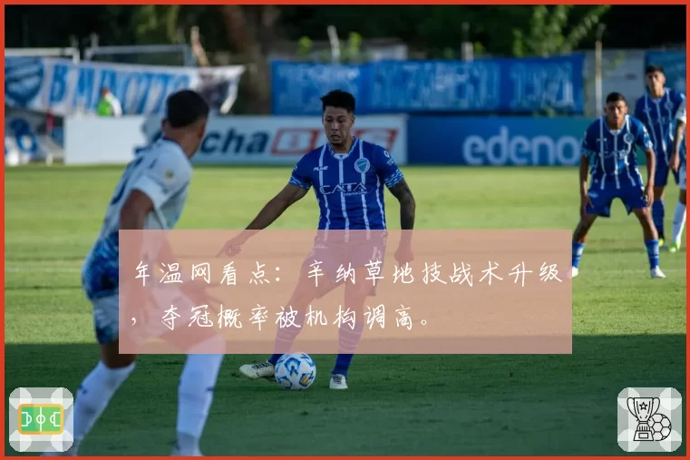 年温网看点：辛纳草地技战术升级，夺冠概率被机构调高。
