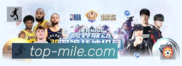 关键数据面板
