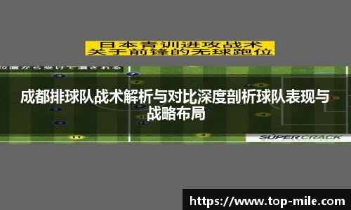 成都排球队战术解析与对比深度剖析球队表现与战略布局